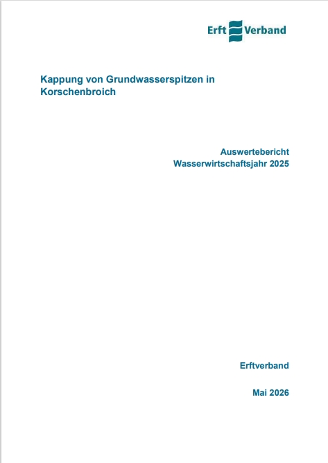 Auswertbericht 2025